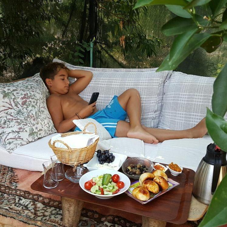 Cirali Kus Yuvasi Bed & Breakfast ภายนอก รูปภาพ