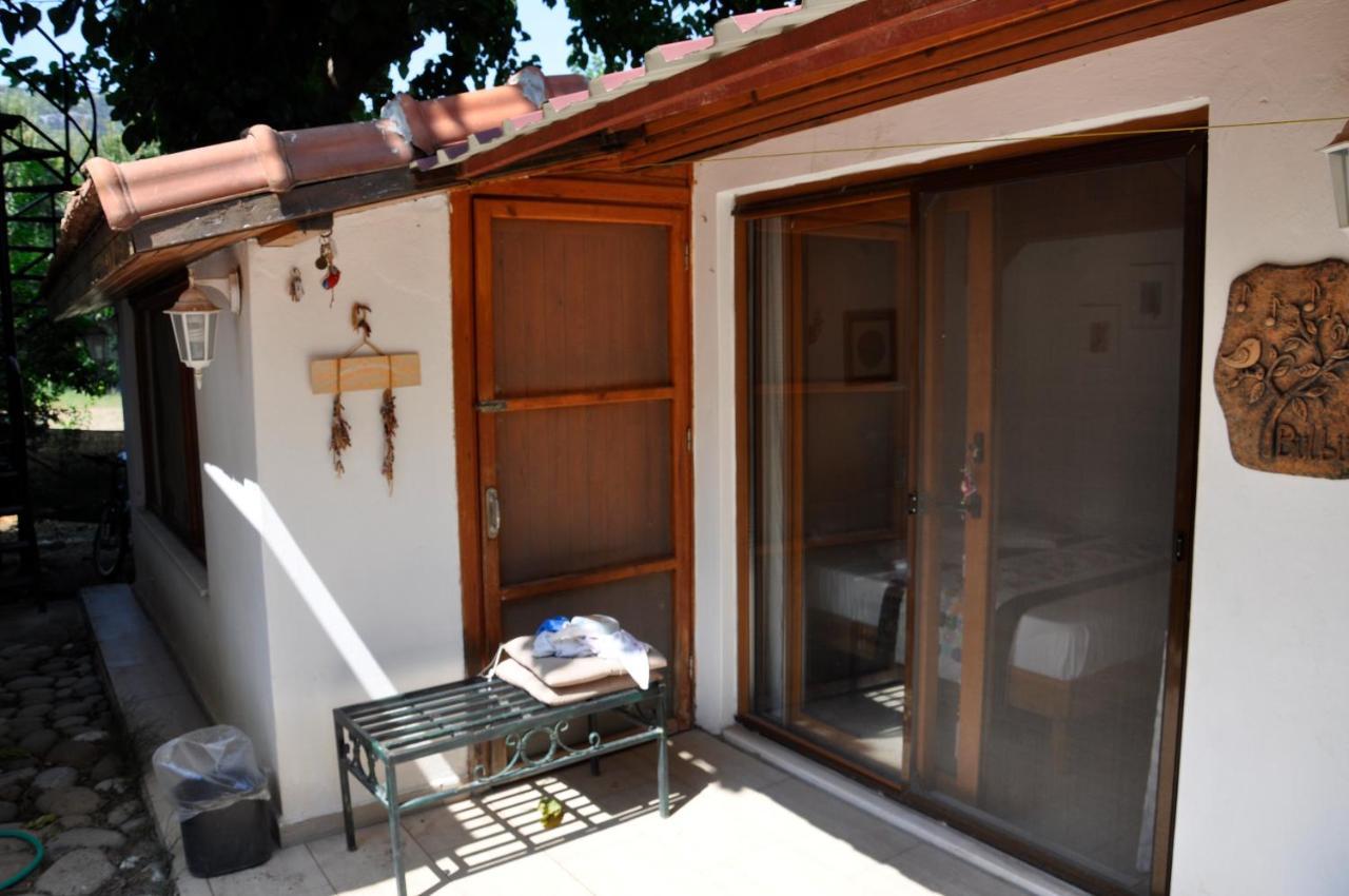 Cirali Kus Yuvasi Bed & Breakfast ภายนอก รูปภาพ